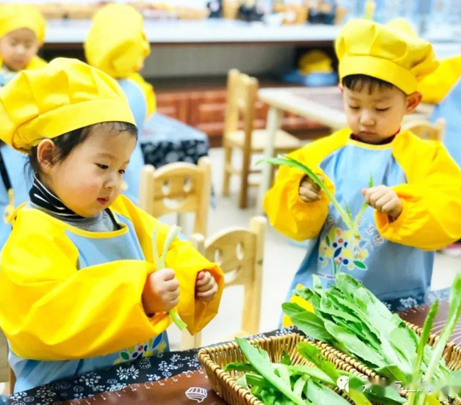 幼兒園生活館食育課程的內(nèi)容建構(gòu)