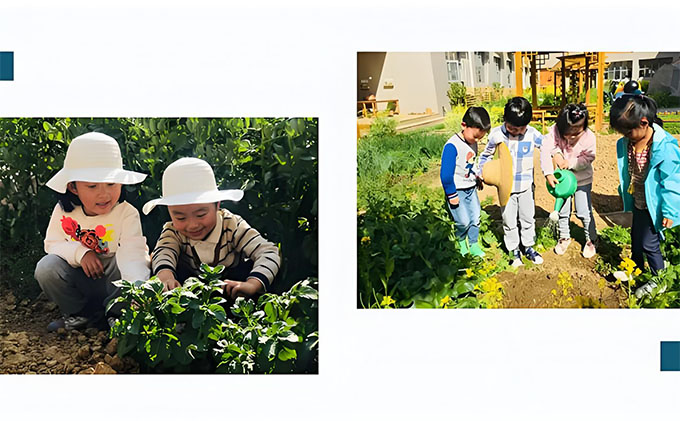 幼兒園種植區(qū)打造之虞永平，我與泥土二三事